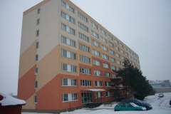 p1060194